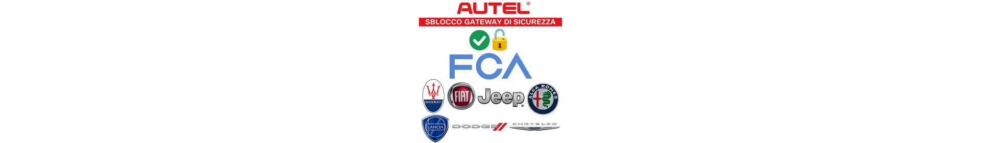 Software e Aggiornamenti per Autodiagnosi